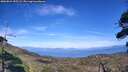./images/calvert/fitz-hugh-hecate/20260824/fitz-hugh-hecate20260824_155501M.jpg