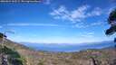 ./images/calvert/fitz-hugh-hecate/20260824/fitz-hugh-hecate20260824_163501M.jpg