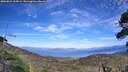 ./images/calvert/fitz-hugh-hecate/20260824/fitz-hugh-hecate20260824_165001M.jpg