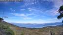 ./images/calvert/fitz-hugh-hecate/20260824/fitz-hugh-hecate20260824_165501M.jpg