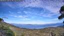 ./images/calvert/fitz-hugh-hecate/20260824/fitz-hugh-hecate20260824_170001M.jpg