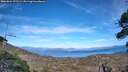 ./images/calvert/fitz-hugh-hecate/20260824/fitz-hugh-hecate20260824_171501M.jpg