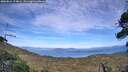 ./images/calvert/fitz-hugh-hecate/20260824/fitz-hugh-hecate20260824_174001M.jpg