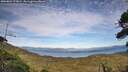./images/calvert/fitz-hugh-hecate/20260824/fitz-hugh-hecate20260824_175001M.jpg