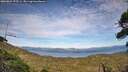 ./images/calvert/fitz-hugh-hecate/20260824/fitz-hugh-hecate20260824_175501M.jpg