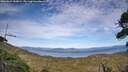 ./images/calvert/fitz-hugh-hecate/20260824/fitz-hugh-hecate20260824_180001M.jpg