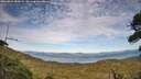 ./images/calvert/fitz-hugh-hecate/20260824/fitz-hugh-hecate20260824_180501M.jpg