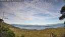 ./images/calvert/fitz-hugh-hecate/20260824/fitz-hugh-hecate20260824_182001M.jpg