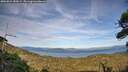 ./images/calvert/fitz-hugh-hecate/20260824/fitz-hugh-hecate20260824_183001M.jpg