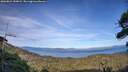 ./images/calvert/fitz-hugh-hecate/20260824/fitz-hugh-hecate20260824_184001M.jpg
