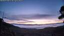 ./images/calvert/fitz-hugh-hecate/20260825/fitz-hugh-hecate20260825_060501M.jpg