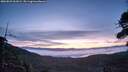 ./images/calvert/fitz-hugh-hecate/20260825/fitz-hugh-hecate20260825_061001M.jpg