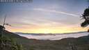 ./images/calvert/fitz-hugh-hecate/20260825/fitz-hugh-hecate20260825_064001M.jpg