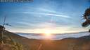 ./images/calvert/fitz-hugh-hecate/20260825/fitz-hugh-hecate20260825_064502M.jpg