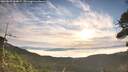 ./images/calvert/fitz-hugh-hecate/20260825/fitz-hugh-hecate20260825_080002M.jpg