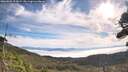 ./images/calvert/fitz-hugh-hecate/20260825/fitz-hugh-hecate20260825_095002M.jpg