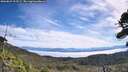 ./images/calvert/fitz-hugh-hecate/20260825/fitz-hugh-hecate20260825_112501M.jpg
