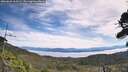 ./images/calvert/fitz-hugh-hecate/20260825/fitz-hugh-hecate20260825_113501M.jpg
