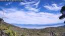 ./images/calvert/fitz-hugh-hecate/20260825/fitz-hugh-hecate20260825_144502M.jpg