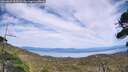 ./images/calvert/fitz-hugh-hecate/20260825/fitz-hugh-hecate20260825_154502M.jpg