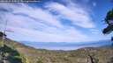 ./images/calvert/fitz-hugh-hecate/20260825/fitz-hugh-hecate20260825_162001M.jpg