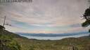 ./images/calvert/fitz-hugh-hecate/20260825/fitz-hugh-hecate20260825_183501M.jpg
