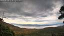 ./images/calvert/fitz-hugh-hecate/20260825/fitz-hugh-hecate20260825_194501M.jpg
