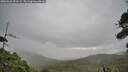 ./images/calvert/fitz-hugh-hecate/20260826/fitz-hugh-hecate20260826_093501M.jpg