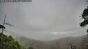 ./images/calvert/fitz-hugh-hecate/20260826/fitz-hugh-hecate20260826_094501M.jpg