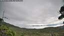 ./images/calvert/fitz-hugh-hecate/20260826/fitz-hugh-hecate20260826_100001M.jpg
