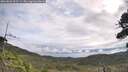 ./images/calvert/fitz-hugh-hecate/20260826/fitz-hugh-hecate20260826_101502M.jpg