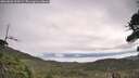 ./images/calvert/fitz-hugh-hecate/20260826/fitz-hugh-hecate20260826_103501M.jpg