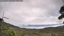./images/calvert/fitz-hugh-hecate/20260826/fitz-hugh-hecate20260826_104002M.jpg