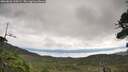 ./images/calvert/fitz-hugh-hecate/20260826/fitz-hugh-hecate20260826_110501M.jpg