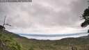 ./images/calvert/fitz-hugh-hecate/20260826/fitz-hugh-hecate20260826_111501M.jpg