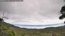 ./images/calvert/fitz-hugh-hecate/20260826/fitz-hugh-hecate20260826_114001M.jpg