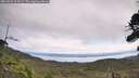 ./images/calvert/fitz-hugh-hecate/20260826/fitz-hugh-hecate20260826_114501M.jpg
