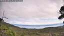 ./images/calvert/fitz-hugh-hecate/20260826/fitz-hugh-hecate20260826_115002M.jpg