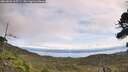 ./images/calvert/fitz-hugh-hecate/20260826/fitz-hugh-hecate20260826_115501M.jpg