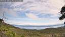 ./images/calvert/fitz-hugh-hecate/20260826/fitz-hugh-hecate20260826_120001M.jpg