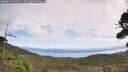 ./images/calvert/fitz-hugh-hecate/20260826/fitz-hugh-hecate20260826_122001M.jpg