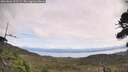 ./images/calvert/fitz-hugh-hecate/20260826/fitz-hugh-hecate20260826_122501M.jpg