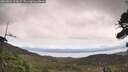 ./images/calvert/fitz-hugh-hecate/20260826/fitz-hugh-hecate20260826_123002M.jpg
