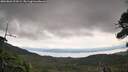 ./images/calvert/fitz-hugh-hecate/20260826/fitz-hugh-hecate20260826_123501M.jpg