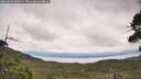 ./images/calvert/fitz-hugh-hecate/20260826/fitz-hugh-hecate20260826_133001M.jpg