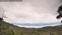 ./images/calvert/fitz-hugh-hecate/20260826/fitz-hugh-hecate20260826_134001M.jpg