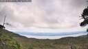 ./images/calvert/fitz-hugh-hecate/20260826/fitz-hugh-hecate20260826_135502M.jpg