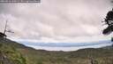 ./images/calvert/fitz-hugh-hecate/20260826/fitz-hugh-hecate20260826_140002M.jpg