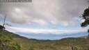 ./images/calvert/fitz-hugh-hecate/20260826/fitz-hugh-hecate20260826_151501M.jpg
