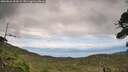 ./images/calvert/fitz-hugh-hecate/20260826/fitz-hugh-hecate20260826_153001M.jpg
